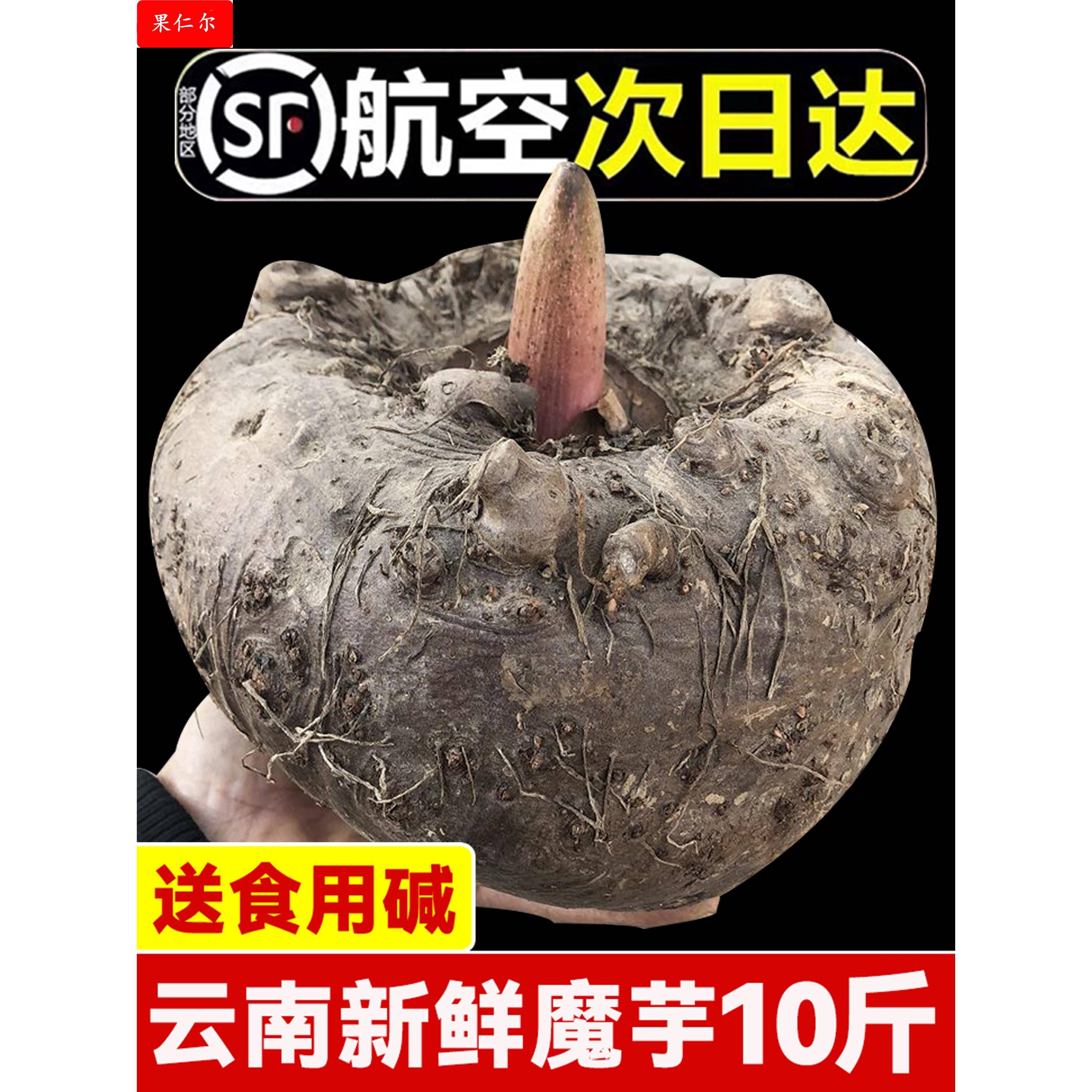 魔芋新鲜10斤生魔芋大魔芋磨芋豆腐原料农家自种云南花魔芋头