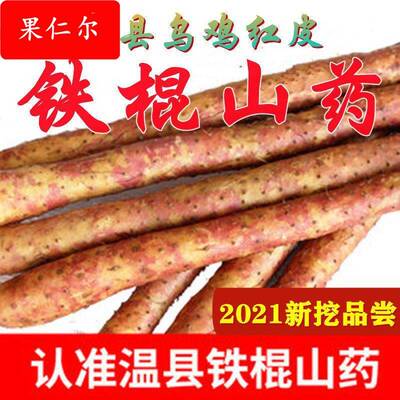 河南省焦作市温县乌鸡土红秀铁棍山新鲜铁杆淮怀山特产礼盒