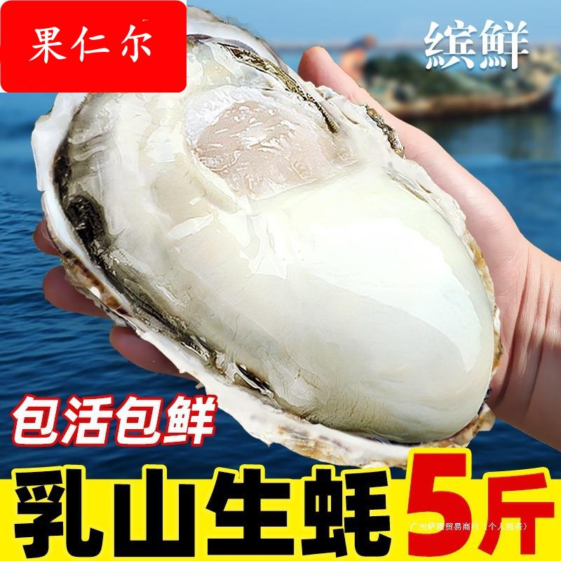 海鲜贝壳生蚝鲜活水产新鲜牡蛎10带箱5海蛎子即食乳山斤特大