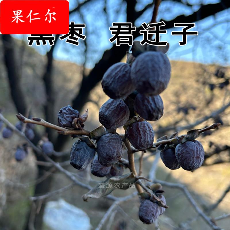 河北涉县软枣黑枣无核小柿子河北特产太行山君迁子当季果产地直发