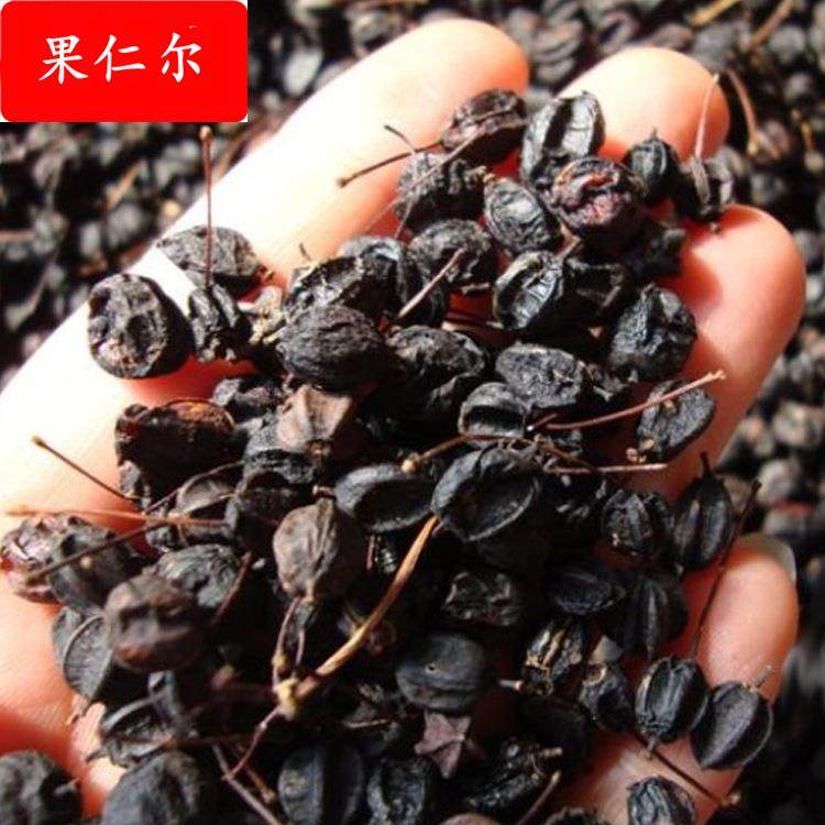刺五加 刺五加茶刺五加籽不染色 刺五加籽