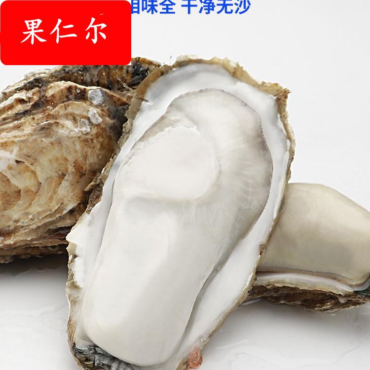 乳山生蚝鲜活10牡蛎新鲜海鲜水产带壳海蛎子海产5斤商用整箱