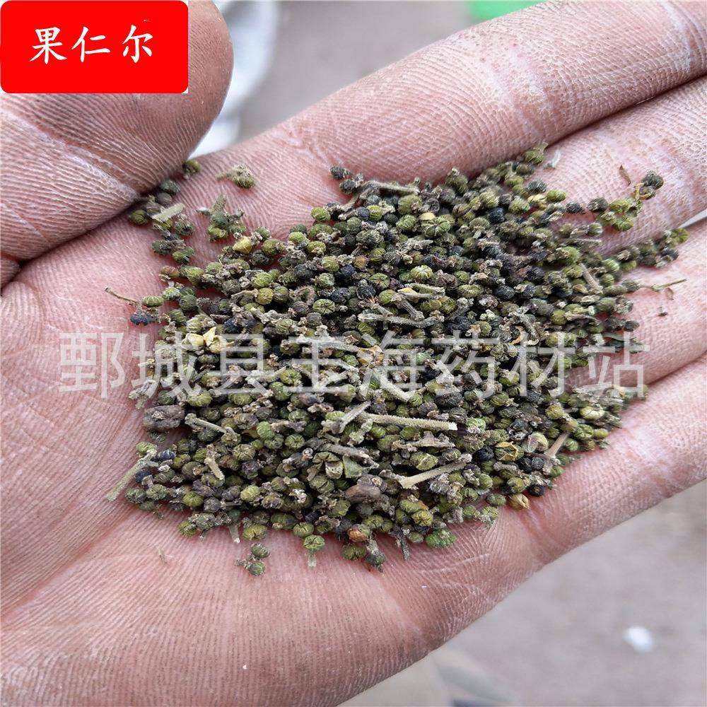 吴茱萸 玉海药材各种中药材