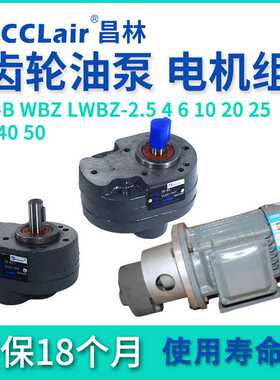 CB-B6齿轮泵4液压LWBZ油泵10B16BM20B25B32B40B50B63B80B100 125R