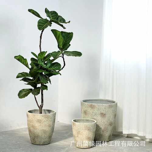 欧式复古小众圆形大口径水泥花盆琴叶榕大叶伞保罗种植花盆室内外
