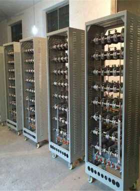 RT54-225M-8/3J(配YZR225M-8)起动调整电阻器鲁杯