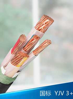 人民电线电缆铜芯国标电力电缆三相五线YJV3*35+2*16低压电缆线