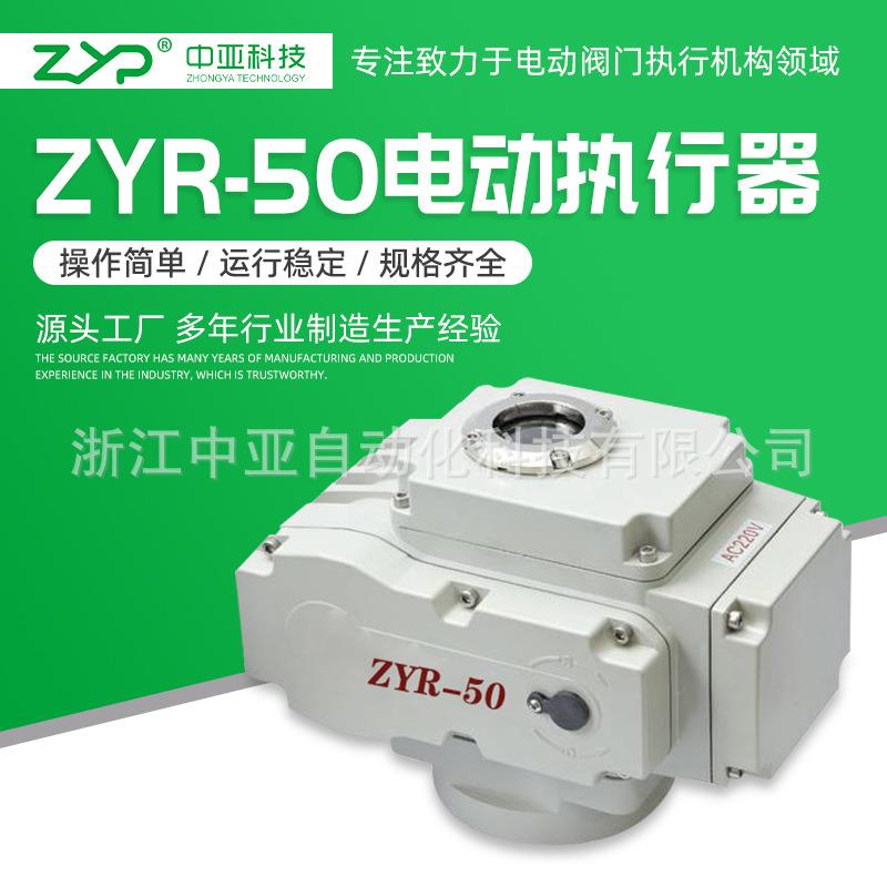 供应阀门电动装置、精小型电动头ZYR-50