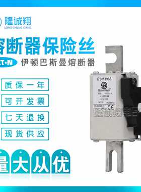 【熔断器保险丝】170M3954 170M3955 170M3956 170M3957 170M3958