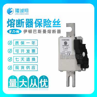【熔断器保险丝】170M3954 170M3955 170M3956 170M3957 170M3958