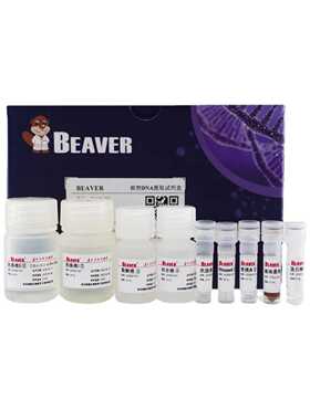 海狸BEAVER羟基磁珠300um货号70106-5容量5mL 10mg/ml 现货