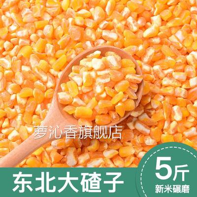 2025年新东北玉米碴大粒脱皮新鲜细糁碎渣正宗笨粘糯芸豆大碴子粥