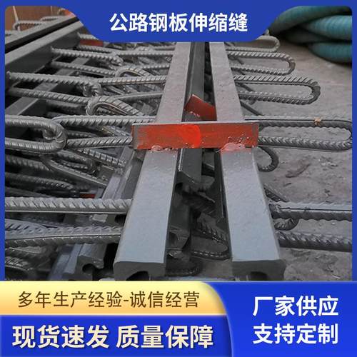 公路钢板伸缩缝 异型钢桥梁伸缩缝 建筑梳齿板型伸缩缝现货