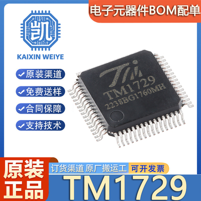 原装正品 TM1729 封装LQFP-64 字段式LCD显示驱动控制IC