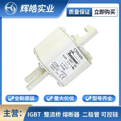 170M2683 170M2684 低压快速恢复熔断器配件  电子元器件