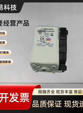 170M3315 170M3316 170M3317 170M3318 170M3319/3320/3321熔断器