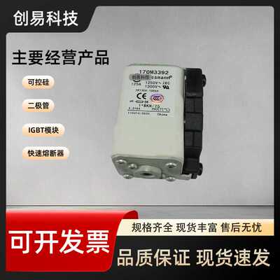 170M3315 170M3316 170M3317 170M3318 170M3319/3320/3321熔断器