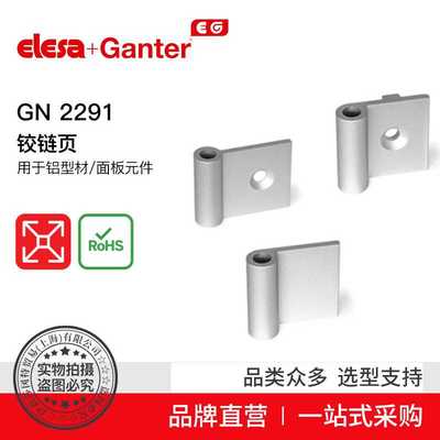 Elesa Ganter伊莉莎冈特 GN 2291页 用于铝型材/面板元件