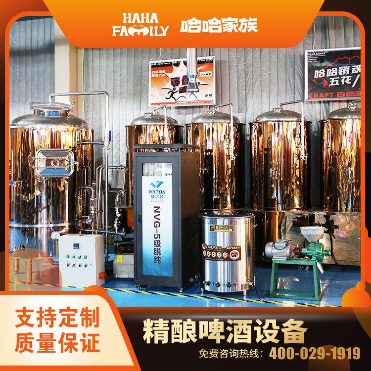 精酿啤酒灌装流水线 精酿啤酒一体机设备 酿造精酿啤酒的机械