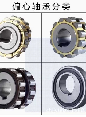 减速机偏心轴承RN204 RN205 RN206 RN307 RN309 RN312 RN219整体