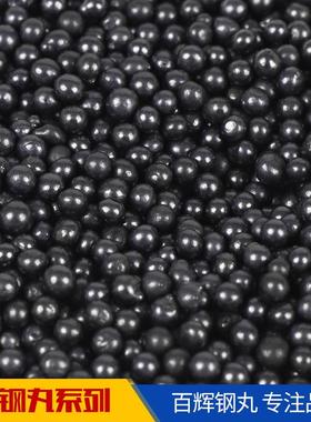 免费取样 优质国标钢丸 合金钢丸 铸钢丸 s660
