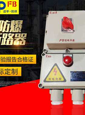 防爆断路器BDZ52-2P3P4P16A32A40A63A 220/380V防爆漏电开关