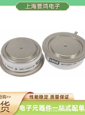 SKT491/14E SKT491/16E SKT491/18E模块二极管可控硅晶闸管快发货