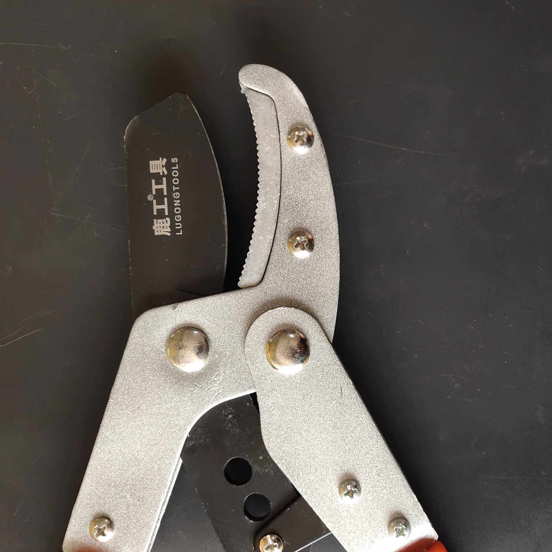 草坪剪绿化粗枝剪园艺剪刀修枝园艺 树枝剪可伸缩粗枝剪