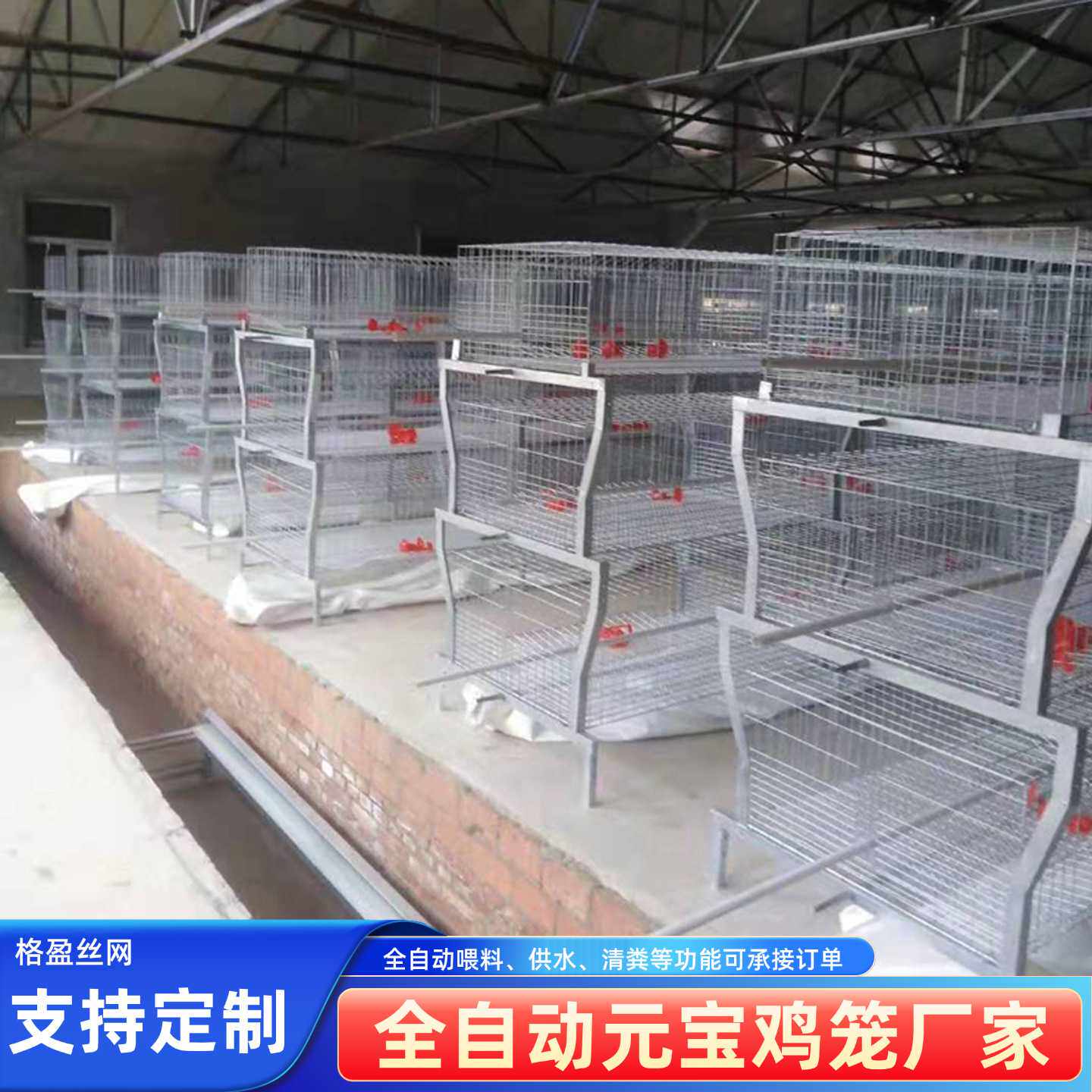 三层全自动元宝型肉鸡笼镀锌鸡笼框架式养鸡设备全自动层叠式鸡笼