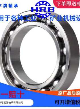 HRB 6040  2Z MA 哈尔滨深沟球单列轴承内径200cm外径310cm厚度51