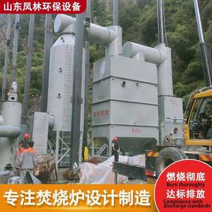 山东动物尸体宠物火化炉设备垃圾环保高温焚烧炉厂家供应