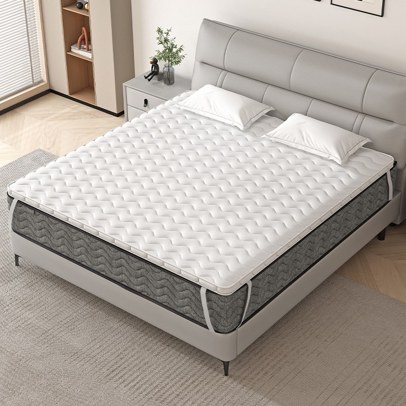 棕榈加硬护腰护脊加硬板床垫椰棕榈垫片超薄太软床变硬神器硬垫子