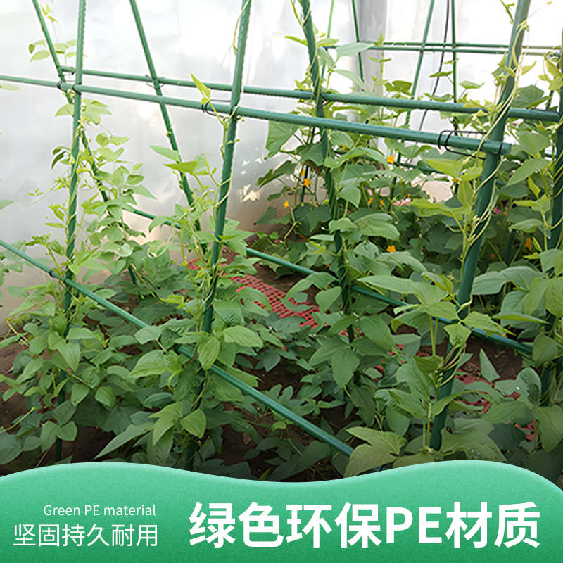 架杆户外西红柿豆角支撑杆黄瓜y爬专用支架花架植物藤藤爬庭院种