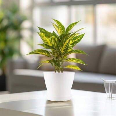 Plastic Plant Flower Pot Planter With Saucer Tray Round