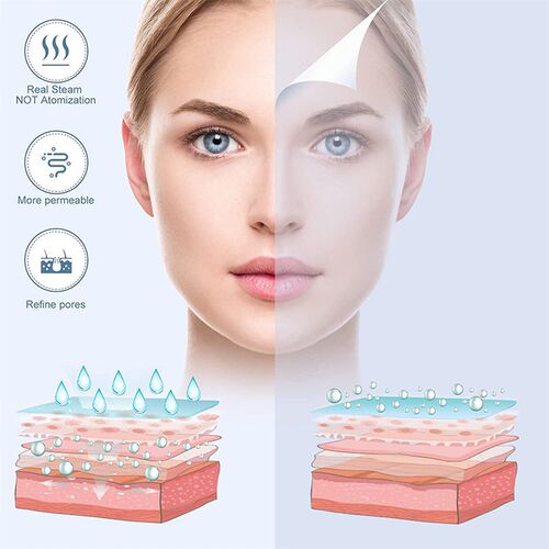 Face Steamer Facial Mist Sprayer Anti-aging Wrinkle Mister S