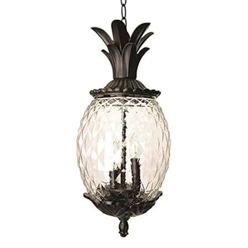 Acclaim 7516BK Lanai Collection 3-Light Outdoor Light Fix