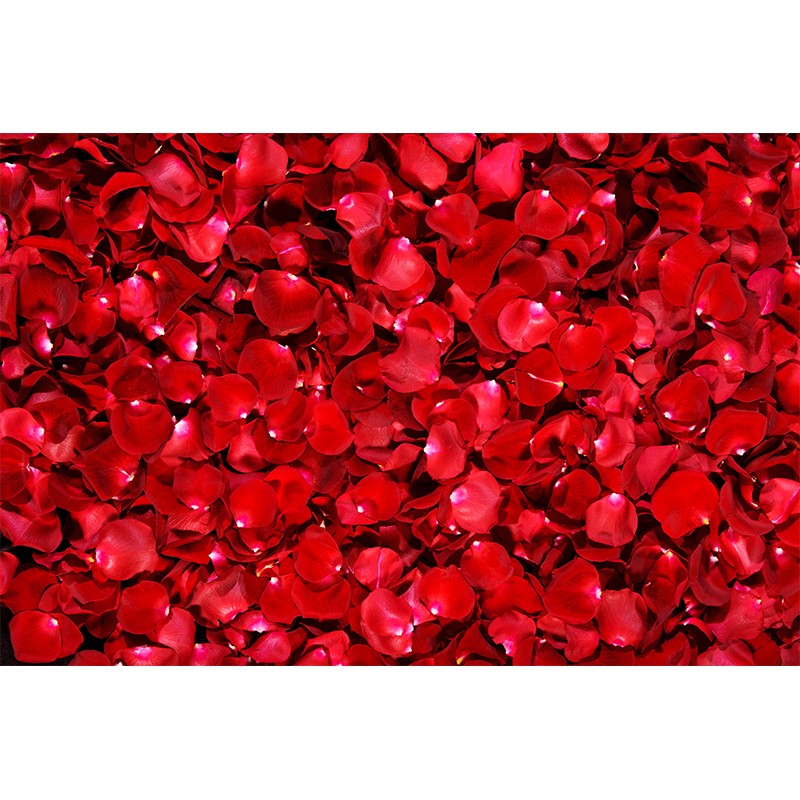 玫瑰客厅地毯卧室床边毯满铺大面积沙发茶几垫浪S漫红色花瓣飘窗