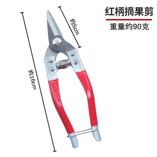园艺修枝剪刀省力剪摘果剪盆景采果剪稀果疏花剪修花枝剪不锈钢剪