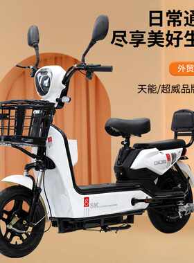foreign trade export电动自行车小型双人电动车两轮新款电瓶车