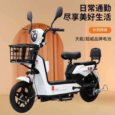 foreign trade export电动自行车小型双人电动车两轮新款电瓶车