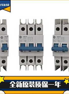 罗克韦尔保护器1492-SPM1B130 1492-SPM1B130-N