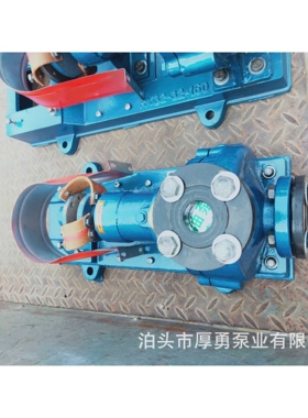RY导热油泵 风冷式导热油泵 高温离心热油泵 泊头厚勇直供