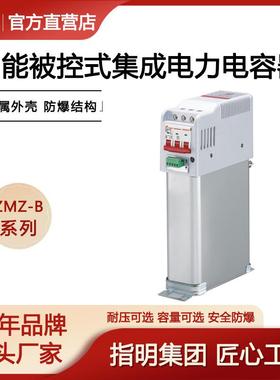 集团智能被控集成电力电容器厂家直供ZMZ-CS/450-10-3B