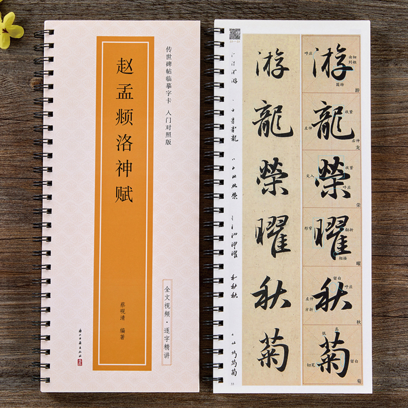 全文视频 赵孟頫洛神赋传世碑帖临摹字卡入门对照版行书毛笔字帖逐字精讲赵体基础教程练字帖成人初学者近距离临摹放大版书法原帖