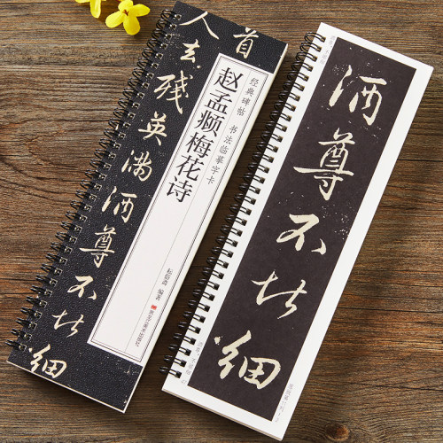 元赵孟頫梅花诗行书毛笔书法字帖原大加放大赵孟俯经典碑帖临摹字卡全文初学者成人入门练习近距离临帖卡诗帖