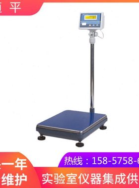 上海恒平     MP60K     大量称电子天平