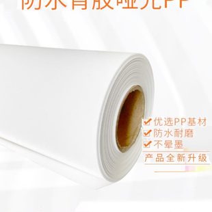 180克150防水哑光背胶PP卷筒热裱水晶膜背胶相纸装 饰画影像双墨纸