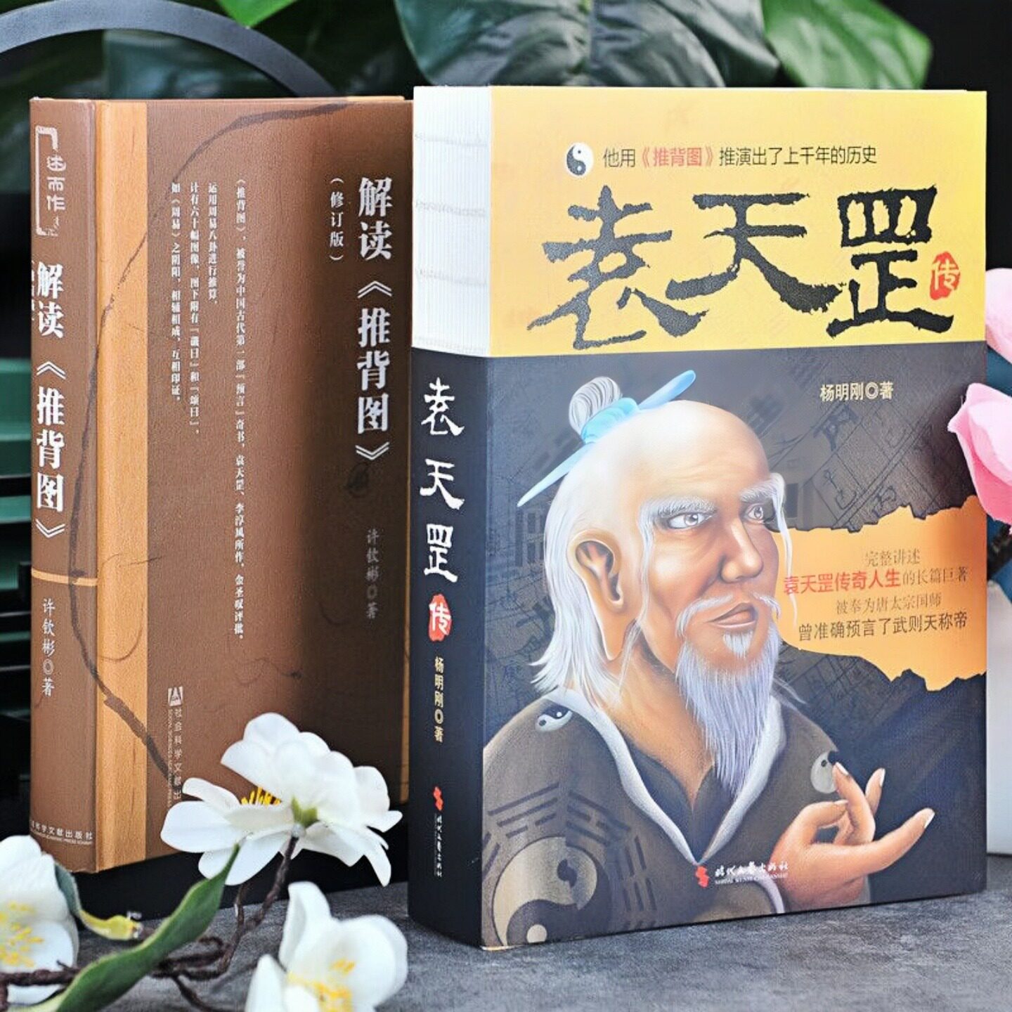 袁天罡传解读推背图修订版书