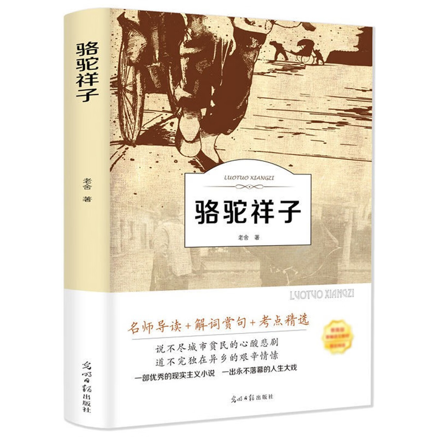骆驼祥子世界名著文学小说图书