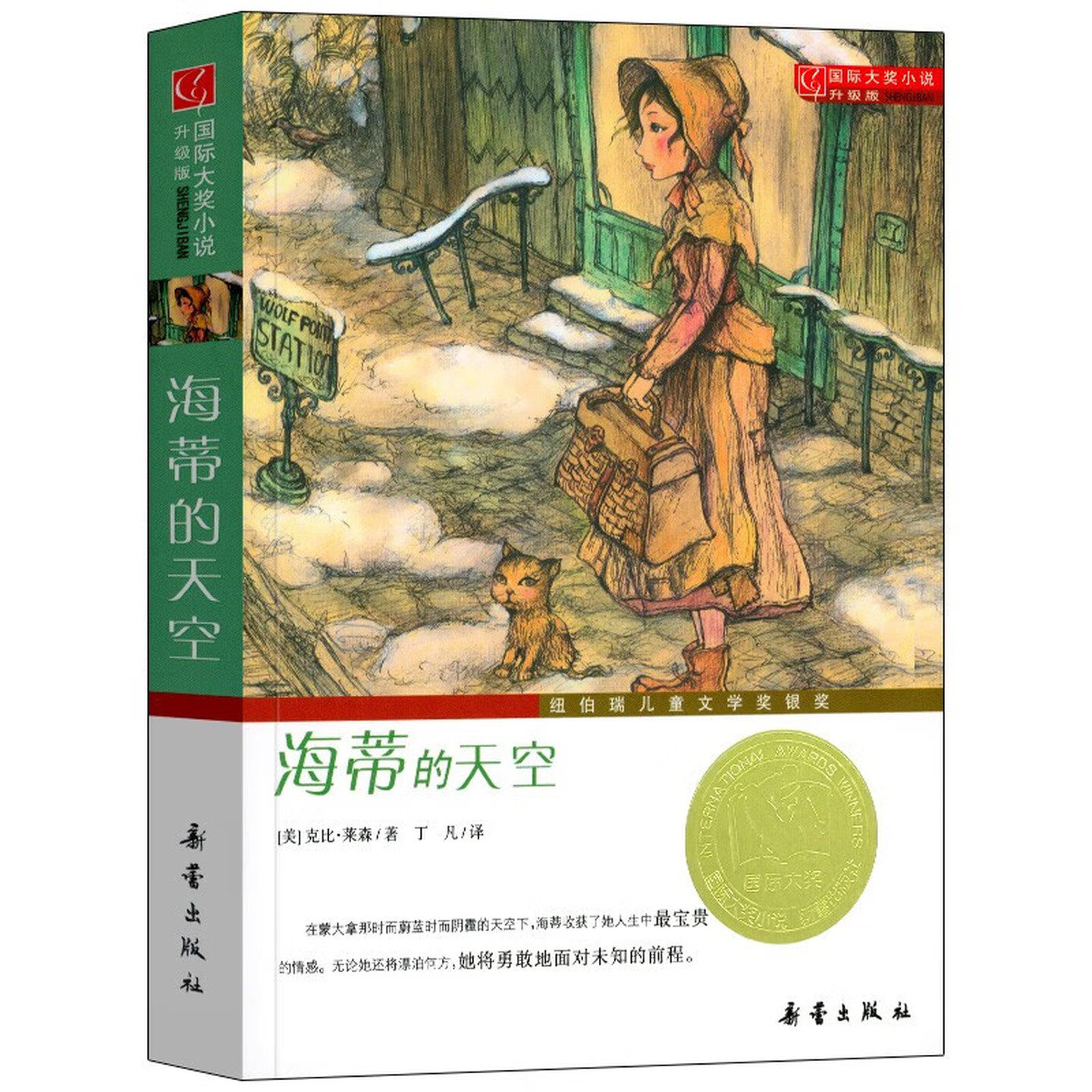 海蒂的天空国际大奖小说故事书